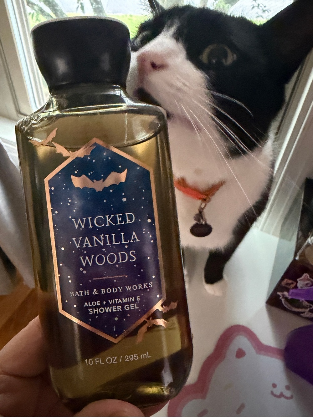 NWT Wicked Vanilla Woods Shower Gel Brand New